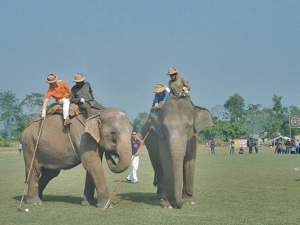 Elephant Polo in Nepal 